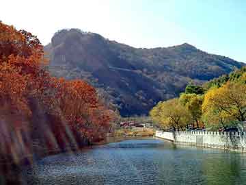 新澳天天开奖资料大全旅游团，山东硅藻土